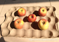 Document het Dienblad van Apple/Fruitdienblad die tot de Klep maken van Machineduitsland Hoge Prestaties